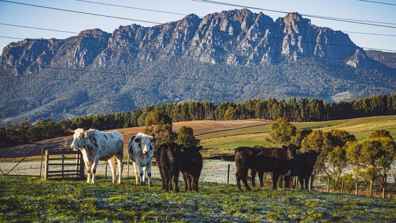 Вілла Carinya Farm Holiday Retreat Шеффілд Екстер'єр фото